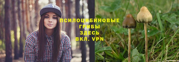 амфетамин Алексеевка
