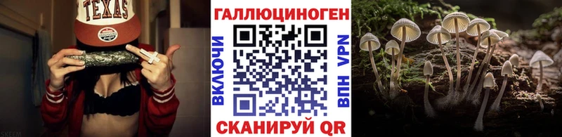 купить закладку Тавда MEGA ONION Псилоцибиновые грибы Cubensis